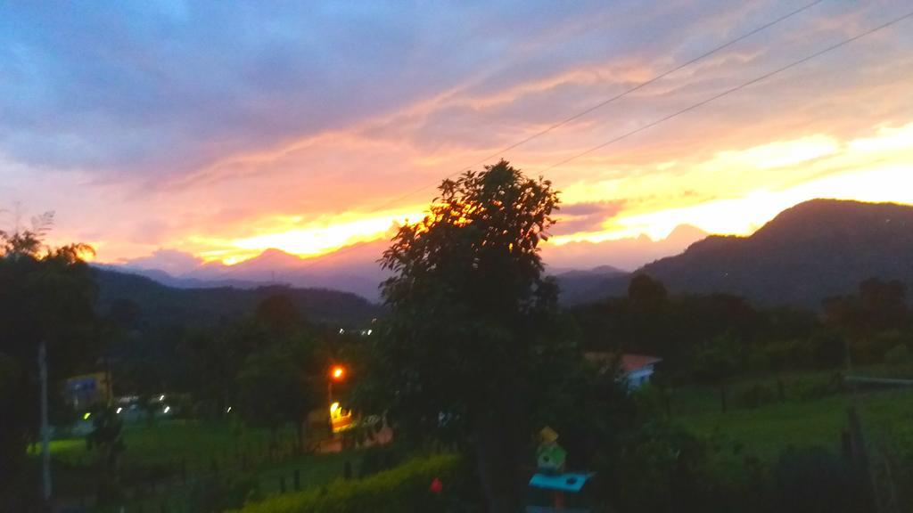 Coliving La Boira Bed & Breakfast Jardín Dış mekan fotoğraf