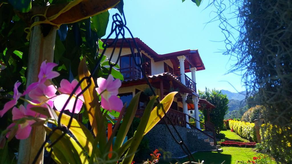 Coliving La Boira Bed & Breakfast Jardín Dış mekan fotoğraf