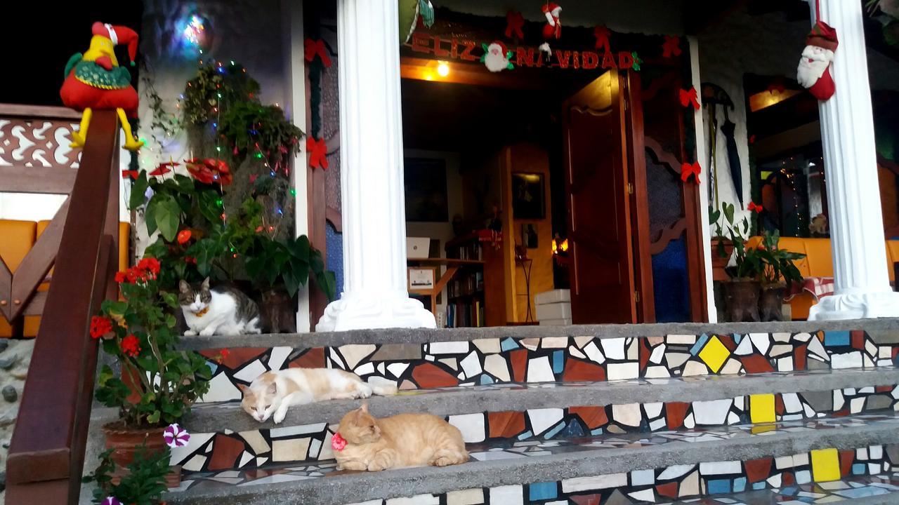 Coliving La Boira Bed & Breakfast Jardín Dış mekan fotoğraf