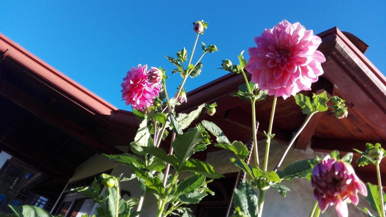 Coliving La Boira Bed & Breakfast Jardín Dış mekan fotoğraf