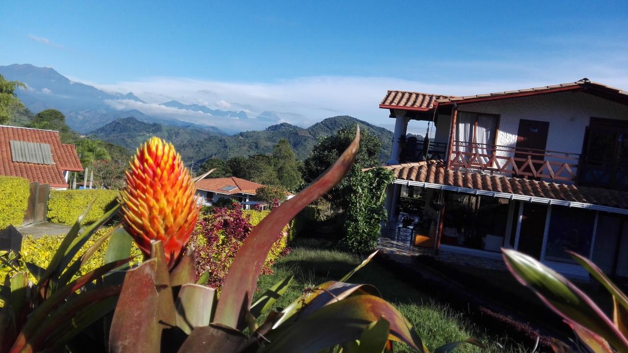 Coliving La Boira Bed & Breakfast Jardín Dış mekan fotoğraf